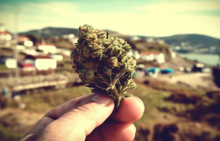 PORTUGAL! Portugal, Portugal, Portugal